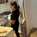 Is Professional Help Necessary For House Deep Cleaning?